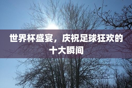 世界杯盛宴，庆祝足球狂欢的十大瞬间