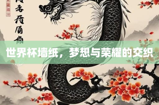 世界杯墙纸，梦想与荣耀的交织