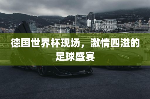 足球盛宴 第5页