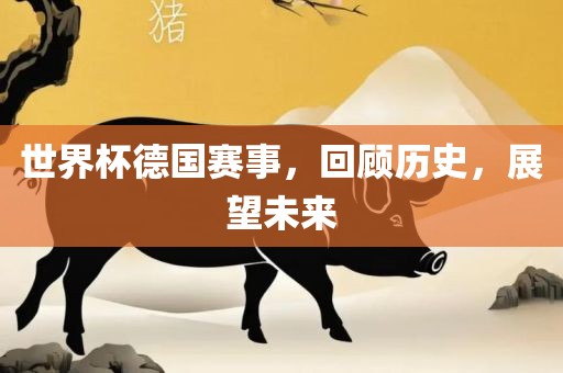 世界杯德国赛事，回顾历史，展望未来漯河市盈旭机械设备有限公司