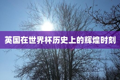 英国在世界杯历史上的辉煌时刻