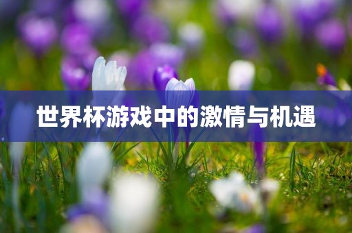 linjunyuan 第4页