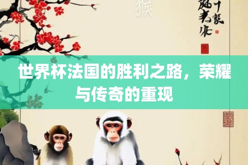 世界杯法国的胜利之路，荣耀与传奇的重现
