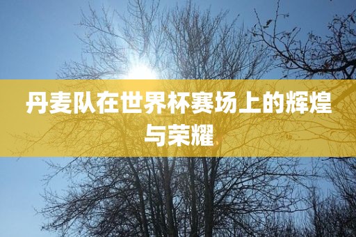 世界杯辉煌荣耀