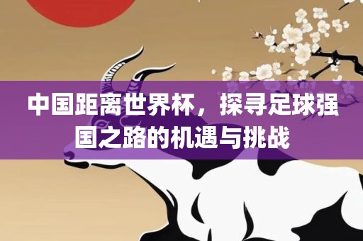 中国距离世界杯，探寻足球强国之路的机遇与挑战