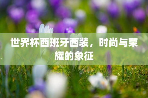 世界杯西班牙西装，时尚与荣耀的象征漯河市盈旭机械设备有限公司