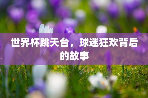 世界杯跳漯河市盈旭机械设备有限公司天台，球迷狂欢背后的故事