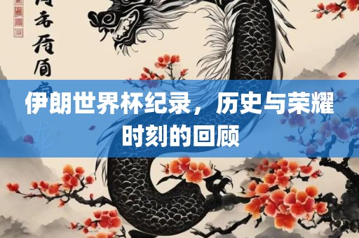 伊朗世界杯纪录，历史与荣耀时刻的回顾