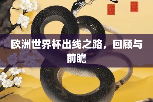 欧洲世界杯出线之路，回顾与前瞻
