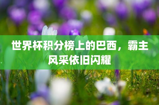 世界杯积分榜上的巴西，霸主风采依旧闪耀漯河市盈旭机械设备有限公司