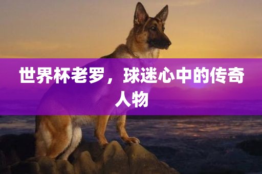 世界杯老罗，球迷心中的传奇人物