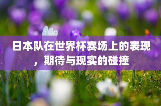 日本队在世界杯赛场上的表现，期待与现实的碰撞