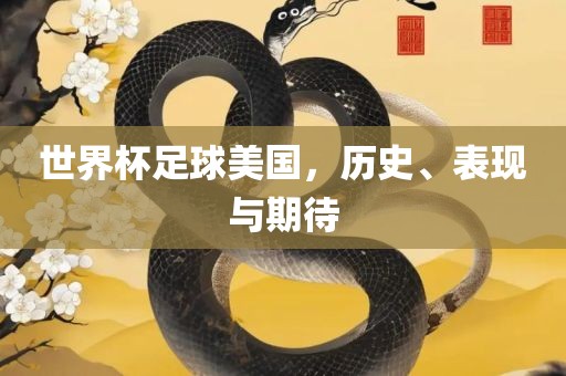 世界杯足球美国，历史、表现与期待