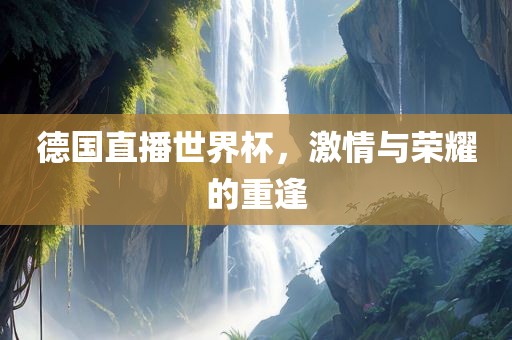 德国直播世界杯，激情与荣耀的重逢漯河市盈旭机械设备有限公司