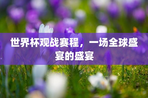 世界漯河市盈旭机械设备有限公司杯观战赛程，一场全球盛宴的盛宴