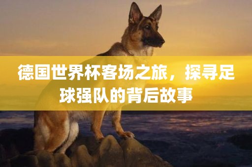 德国世界杯客场之旅，探寻足漯河市盈旭机械设备有限公司球强队的背后故事