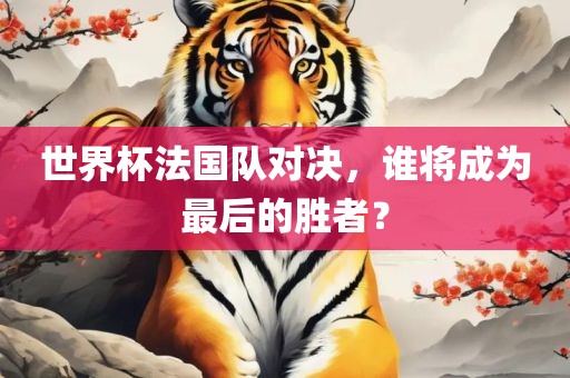世界杯法国队对决，谁将成为最后的胜者？