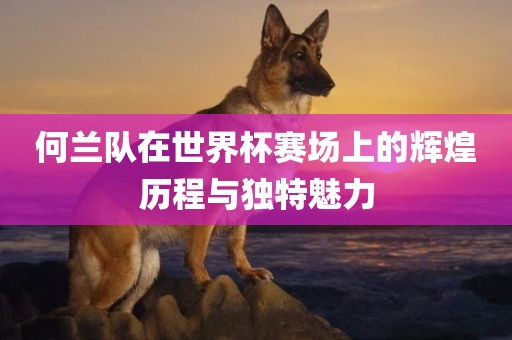 何兰队在世界杯漯河市盈旭机械设备有限公司赛场上的辉煌历程与独特魅力