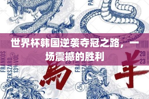 世界杯韩国逆袭夺冠之路，一场震撼的胜利漯河市盈旭机械设备有限公司