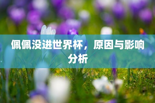 chenxinyao 第5页