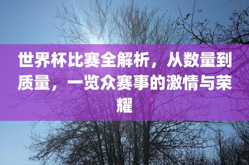 世界杯比赛全解析，从数量到质量，一览众赛事的激情与荣耀漯河市盈旭机械设备有限公司