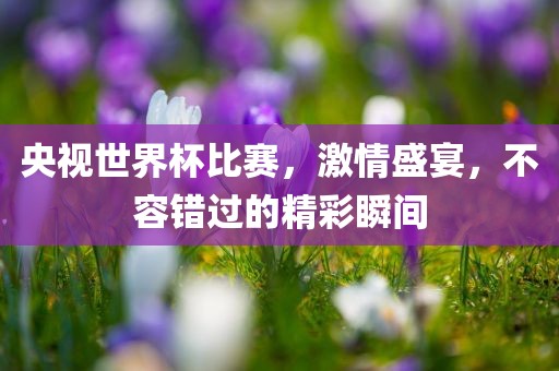 央视世界杯比赛，激情盛宴，不容错过的精彩瞬间