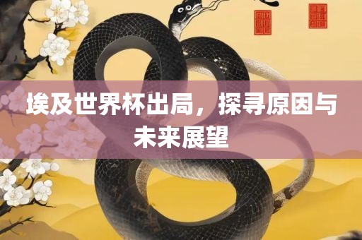 埃及世界杯出局，探寻原因与未来展望漯河市盈旭机械设备有限公司