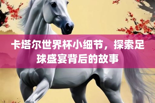 卡塔尔世界杯小细节，探索足球盛宴背后的故事