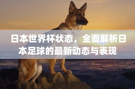 日本世界杯状态，全面解析日本足球的最新动态与表现