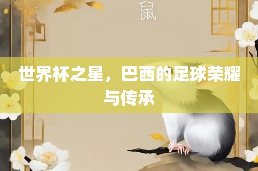 世界杯之星，巴西的足球荣耀与传承
