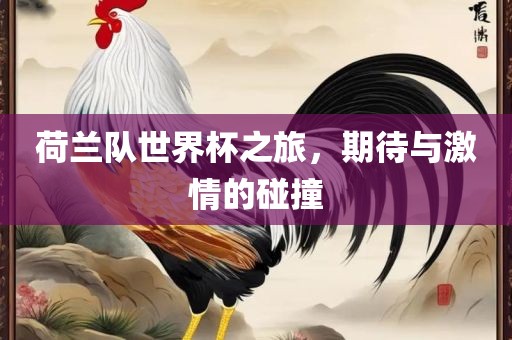 荷兰队世界杯之旅，期待与激情的碰撞