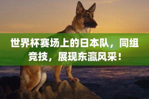 meinan 第4页