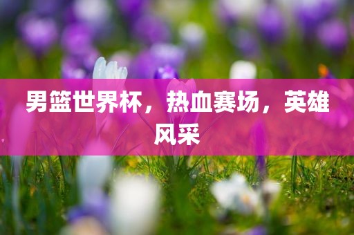 男篮世界杯，热血赛场，英雄风采