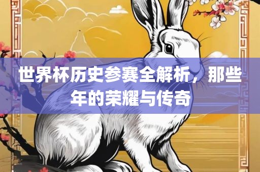 世界杯历史参赛全解析，那些年的荣耀与传奇