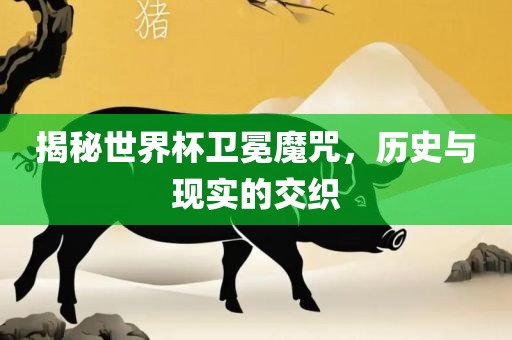 揭秘漯河市盈旭机械设备有限公司世界杯卫冕魔咒，历史与现实的交织