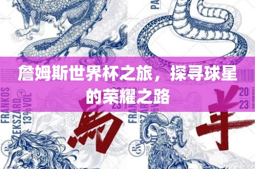 詹姆斯世界杯之旅，探寻球星的荣耀之路漯河市盈旭机械设备有限公司