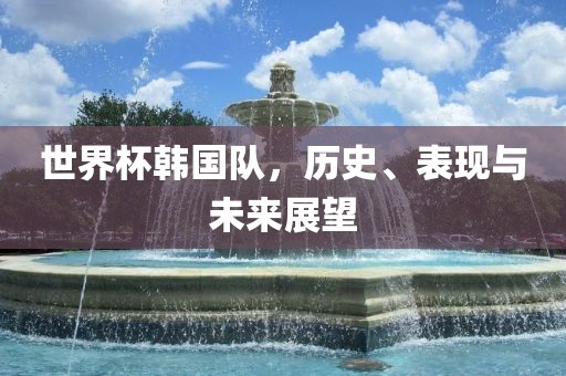 世界杯韩国队，历史、表现与未来展望漯河市盈旭机械设备有限公司