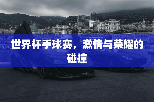 世界杯手球赛，激情与荣耀的碰撞