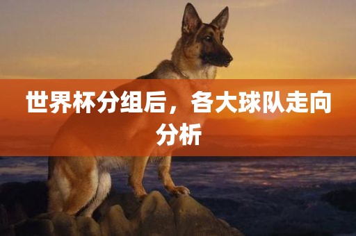 世界杯分组后，各大球队走向分析