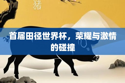首届田径世界杯，荣耀与激情的碰撞漯河市盈旭机械设备有限公司