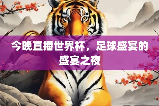 今晚直漯河市盈旭机械设备有限公司播世界杯，足球盛宴的盛宴之夜