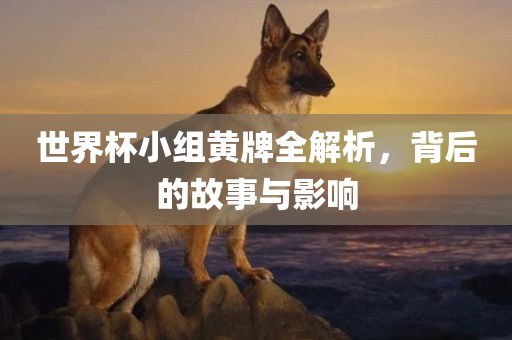 世界杯小组黄牌全解析，背后的故事与影响