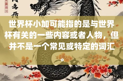 世界杯小加可能指的是与世界杯有关的一些内容或者漯河市盈旭机械设备有限公司人物，但并不是一个常见或特定的词汇。
