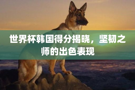 世界杯韩国得分揭晓，坚漯河市盈旭机械设备有限公司韧之师的出色表现