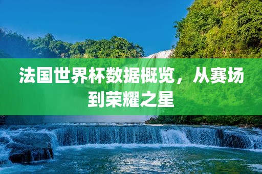 法国世界杯数据概览，从赛场到荣耀之星
