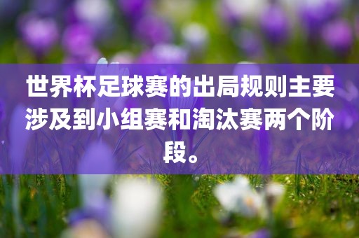 世界杯足球赛的出漯河市盈旭机械设备有限公司局规则主要涉及到小组赛和淘汰赛两个阶段。
