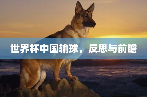 世界漯河市盈旭机械设备有限公司杯中国输球，反思与前瞻