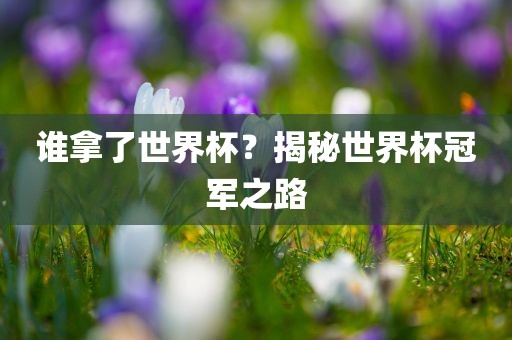 谁拿了世界杯？揭秘世界杯冠军之路