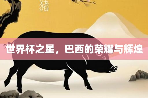 世界杯之星，巴西的荣耀与辉煌