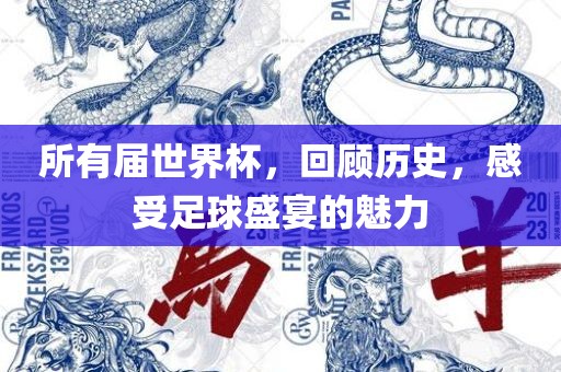 所有届世界杯漯河市盈旭机械设备有限公司，回顾历史，感受足球盛宴的魅力